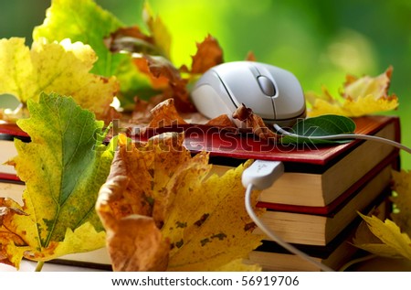 Mouse and leaves on book.