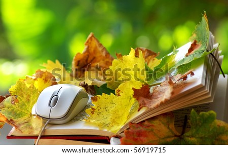 Mouse and leaves on book.