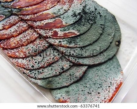 An open packet of rotten meat lying in plastic packaging on white background