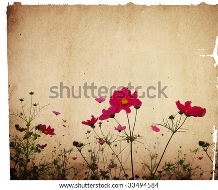 flower paper textures - perfect background with space for text or image