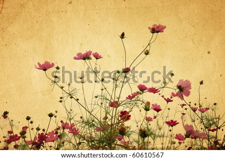 old flower paper textures - perfect background