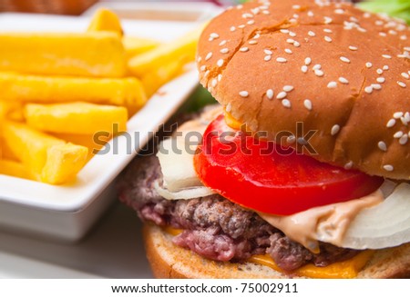 Cheese burger - American cheese burger with french fries