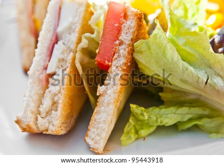 Sandwich with bacon - chicken, cheese and lettuce