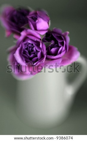 An abstract photo of pink roses with special focus