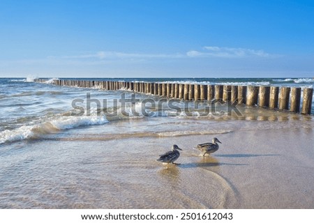 Image, Stock Photo Groynes on the coast of the Baltic Sea near Kühlungsborn