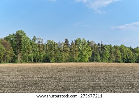 Field in spring. Country landscape.