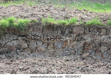 soil layer  of ground