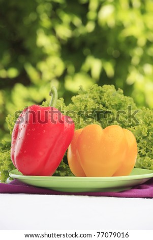 Two fresh shiny bell peppers with green salad on the garden table