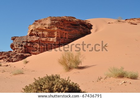 Wadi Rum Sand Dunes,Jordan