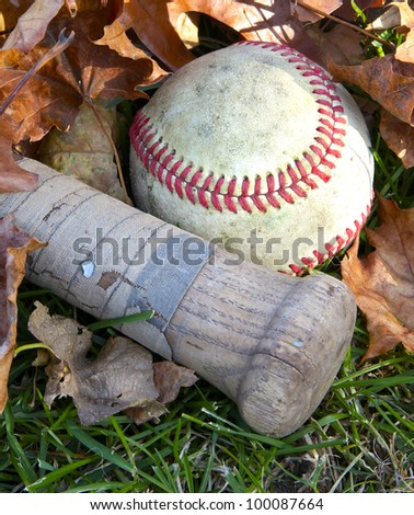 A weathered baseball and bat sit neglected amongst some leaves.