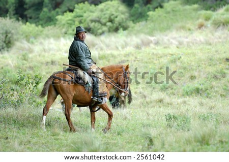 the latin horseman (gaucho). ecuador. south america