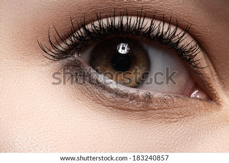 Macro shot of woman\'s beautiful eye with extremely long eyelashes. Sexy view, sensual natural look. The female eye is staring