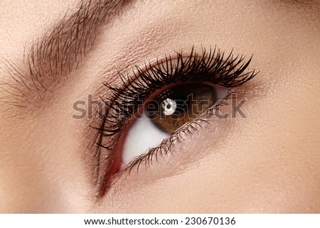 Macro shot of woman\'s beautiful eye with eyelashes. Sexy view, sensual look. Natural makeup