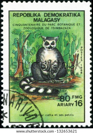 MALAGASY - CIRCA 1988: A stamp printed in Malagasy (Madagascar) shows Ring-tailed lemur with calves - Lemur Catta, circa 1988