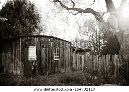 A black and white image of an old wooden outbuilding located on a farm in Colorado. The sun is shining through a large Willow tree creating dramatic sun flare.