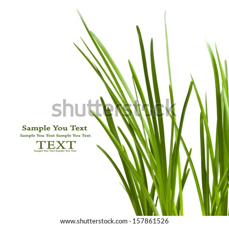 Similar – Image, Stock Photo Grass blades with dew drops bokehlicious