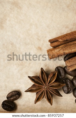 Cinnamon spice Sticks close up