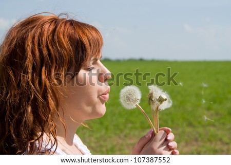 A beautiful red-haired blow away dandelion, afternoon