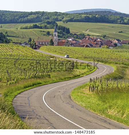 Alsace village, vineyard at route de wine. France.