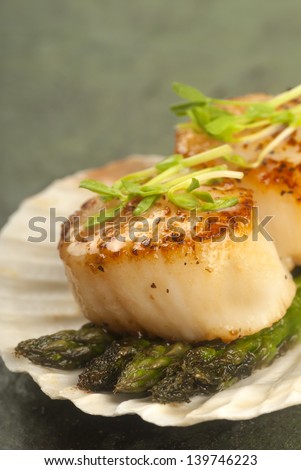 Delicious pan seared sea scallop with asparagus and pea shoots served on a scallop shell