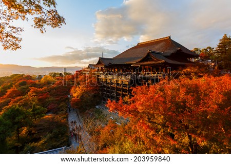 Similar – Foto Bild Herbstlandschaft im abendlichen Sonnenlicht von oben. Sommerhintergrund mit Erle