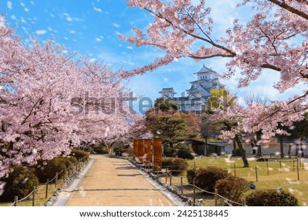 Similar – Image, Stock Photo Cherry blossoms in Kyoto Japan Hanami