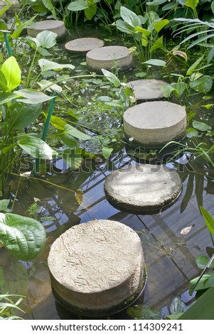 A row of stones in water