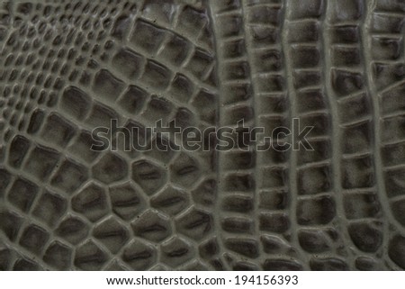 Crocodile bone skin texture background. This image of Freshwater Crocodile \