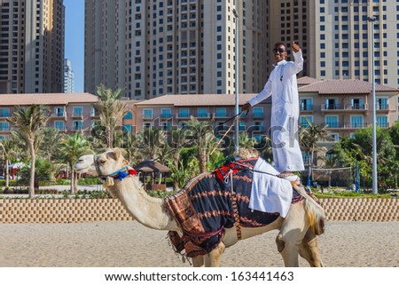 DUBAI, UAE - NOVEMBER 11: High rise buildings and streets nov 11. 2013  in Dubai, UAE. Dubai was the fastest developing city in the world between 2002 and 2008. Camel on Jumeirah Beach in Dubai, UAE
