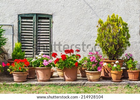ITALY - JUNE 22, 2014: Windows and doors in an old house decorated with flower pots and flowers