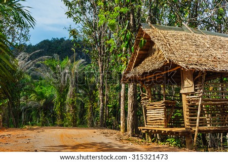 hut on the road in the jungle with palm trees on the  Phuket in Thailand