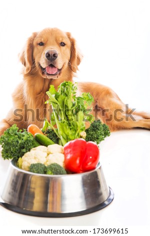 A handsome golden retriever dog laying down next to a bowl of fresh vegetables.