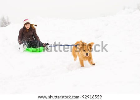A golden retriever dog pulling a child on a sled down a snow covered hill.