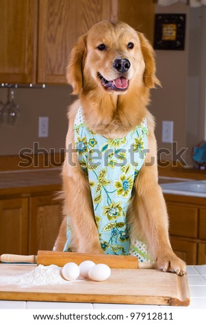 A golden retriever dog baking with eggs, flour and a rolling pin in a home kitchen.