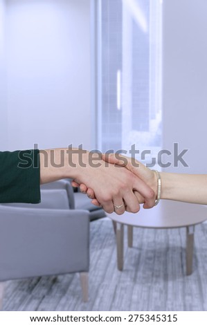 Couple of business women shaking hands during a business deal