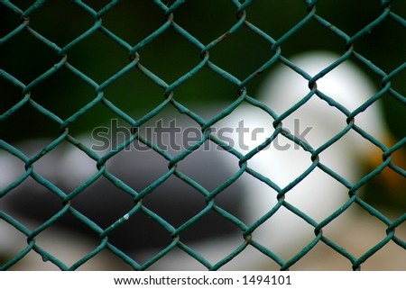 Net with bird behind