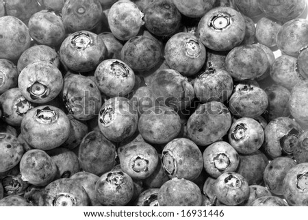 Black And White Blueberries Stock Photo 16931446 : Shutterstock