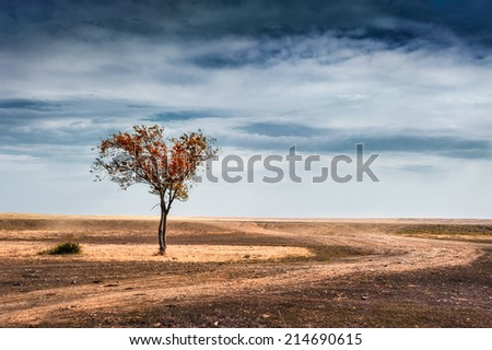 Beautiful heart shape tree in a field. Dramatic autumn landscape. Concept of the fall and loneliness