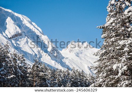 Winter forest and mountains at sunny day. Beautiful winter landscape. Elbrus region. Caucasus, Russian Federation.