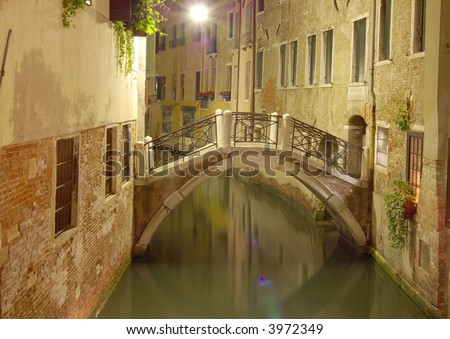 Venice bridge - night vision.