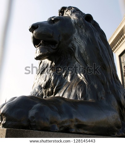 Lion statue on Trafalgar Square London