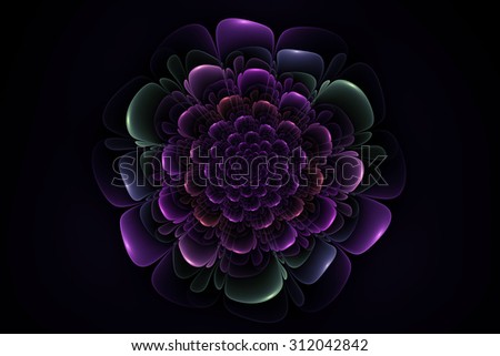 abstract flower fractal element on a black background for art and print projects
