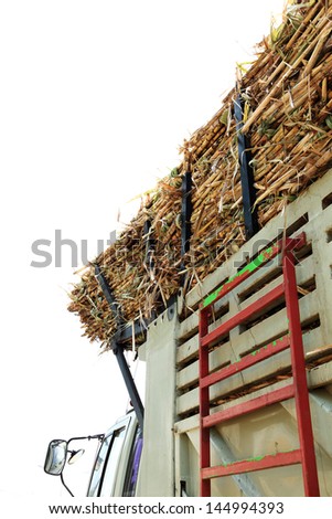 Sugarcane on a trailer ready to go to the sugar factory.