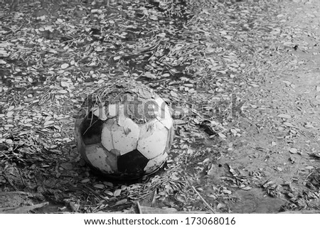Old soccer ball lost in old pond with dead wood logs and dry leaves black and white version