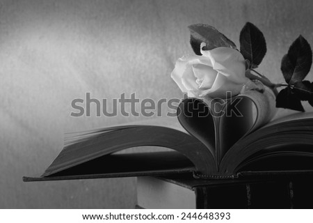 Still life art photography love concept with pink rose vintage book pages love heart sign on grunge black and white version