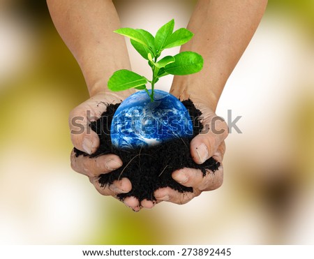 Human hand holding global in soil with little green tree for think earth concept Elements of this image furnished by NASA