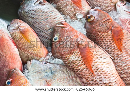 sea product from the adaman sea in local fish market