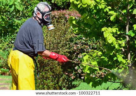 A man sprays plants in the garden. Concept photo of home gardening, business\
, garden work, ,exterminator, agriculture, danger.