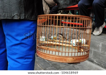 A small bird in a golden cage.