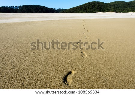 Foot prints on Te Paki Sand Dunes northland, New Zealand. concept photo of travel, vacation and freedom